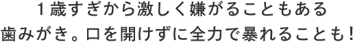 １歳すぎから激しく嫌がることもある歯みがき。口を開けずに全力で暴れることも！