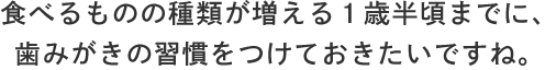 食べるものの種類が増える１歳半頃までに、歯みがきの習慣をつけておきたいですね。