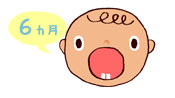 6ヵ月　下の前歯が生える。（2本）