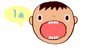 1歳　　上下の前歯が4本ずつに。（8本）