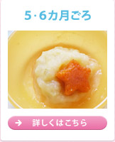 5・6ヵ月ごろ