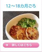 12～18ヵ月ごろ