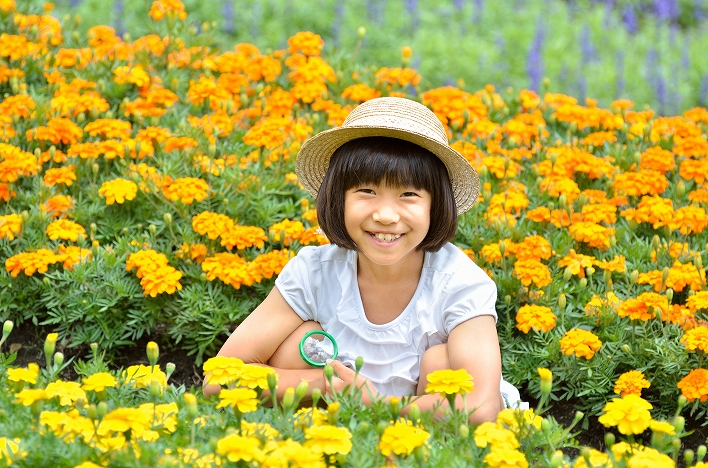 工場見学で自由研究!【第3回】工場見学を利用した「自由研究」のまとめ方