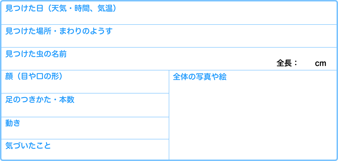 表