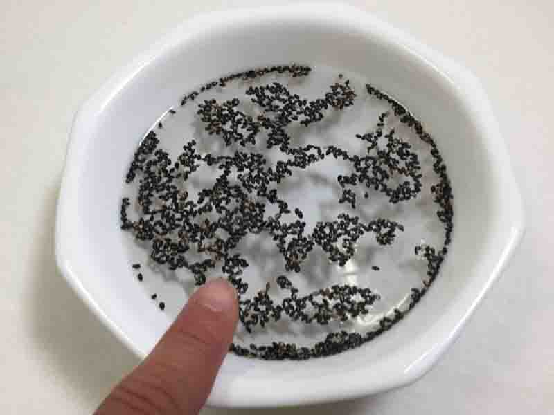 にげるゴマ！