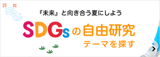SDGs
