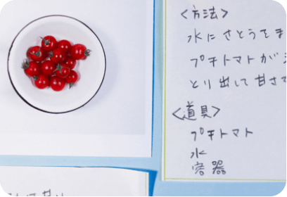 たくさんの用紙