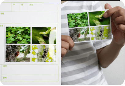 テンプレートに貼り付けられた、割付印刷された画像