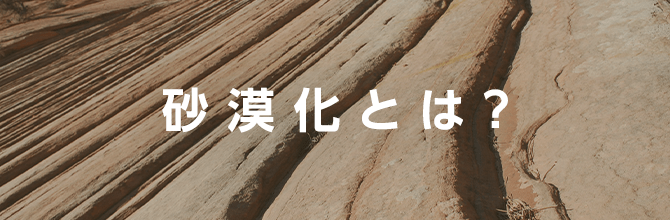 砂漠化とは？