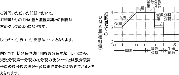 【生殖と減数分裂】「DNA量」の変化のグラフがわかりません。   