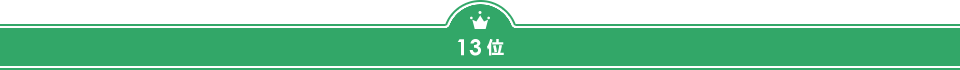 13位